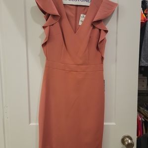 Express Dress NWT Size 0